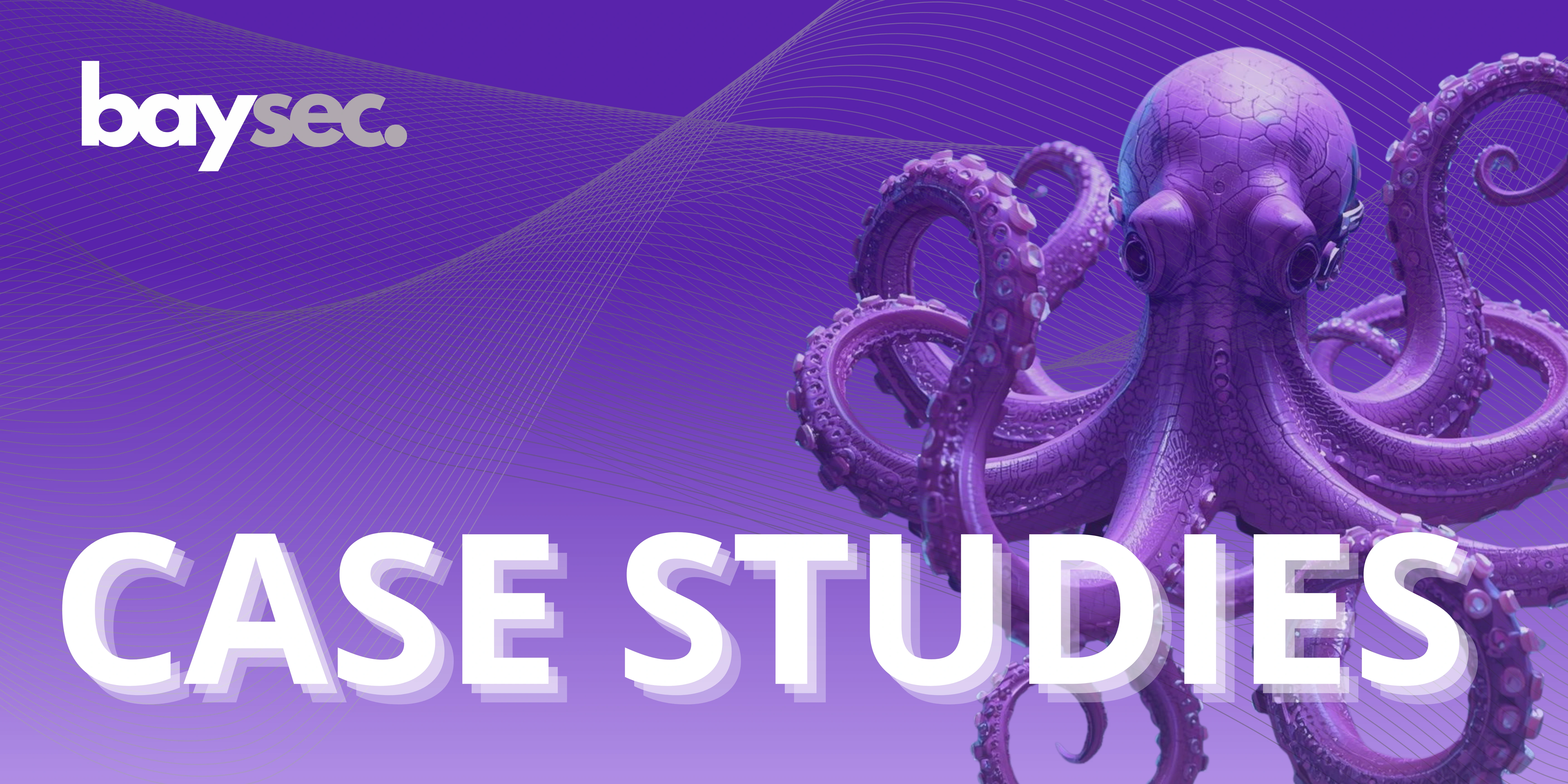Baysec Case Studies