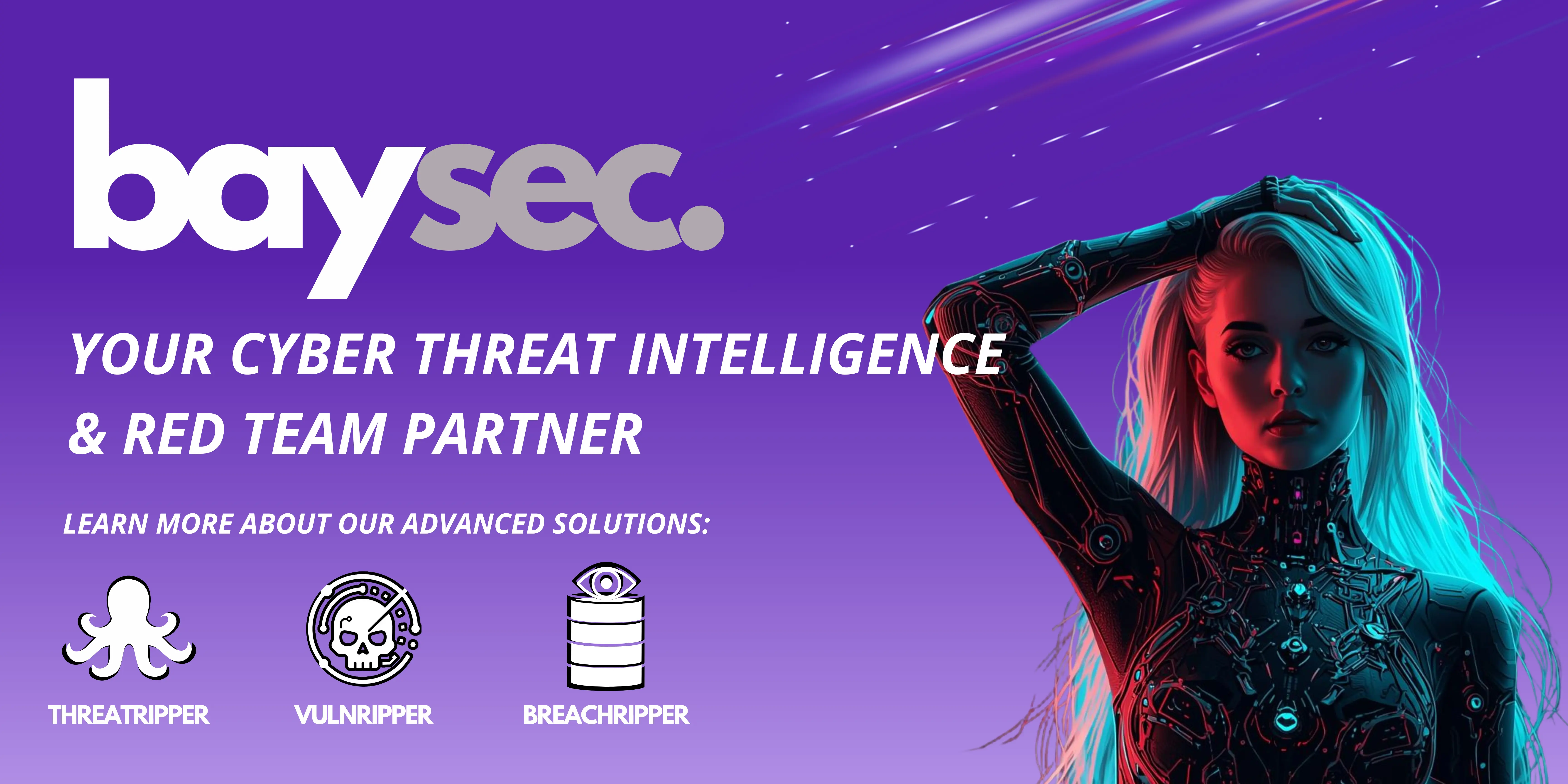 Baysec - Your Cyber Defence Starts Here