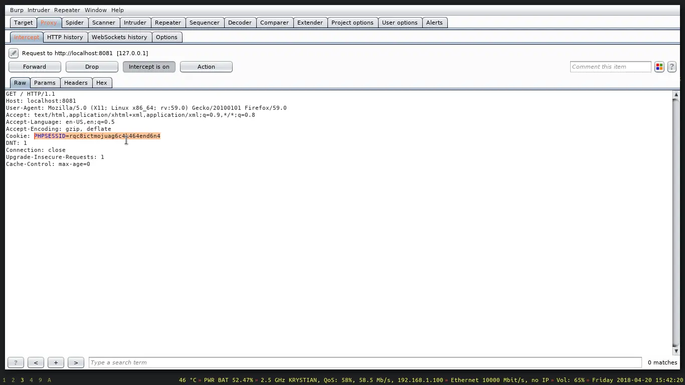 Putting the cookie into a proxied request using Burp Suite